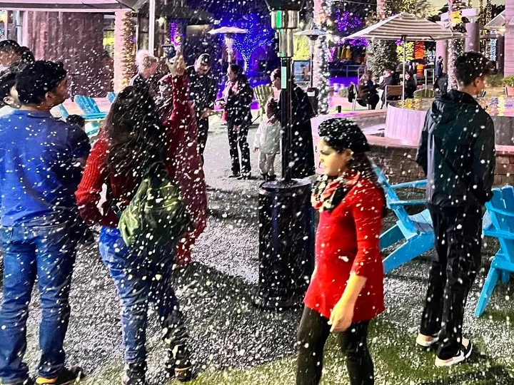 A community crowd at a holiday tree lighting at night